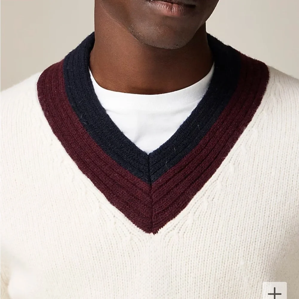 NWOT j crew Wool V-neck cricket sweater